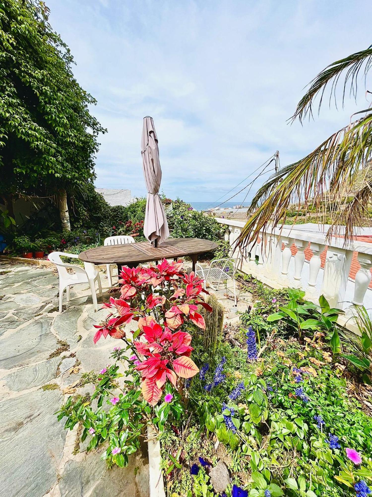 Apartamento En Alquiler Santa Maria de Guia de Gran Canaria エクステリア 写真